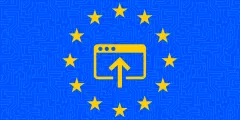 Advancing Platform Research through the EU Digital Services Act